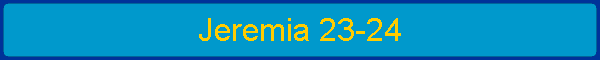 Jeremia 23-24