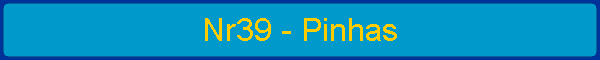 Nr39 - Pinhas